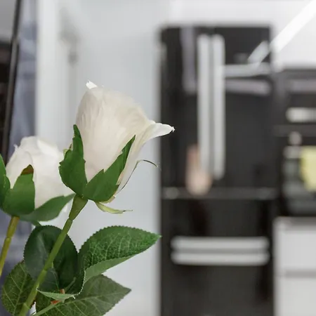 Ruvi Apartmán San Bartolomé